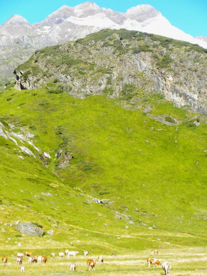 Le Grenier De Luz Leilighet Luz-Saint-Sauveur Eksteriør bilde